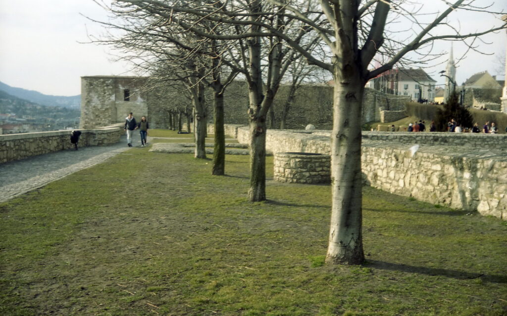 Taron 35 Tomioka lens-8549