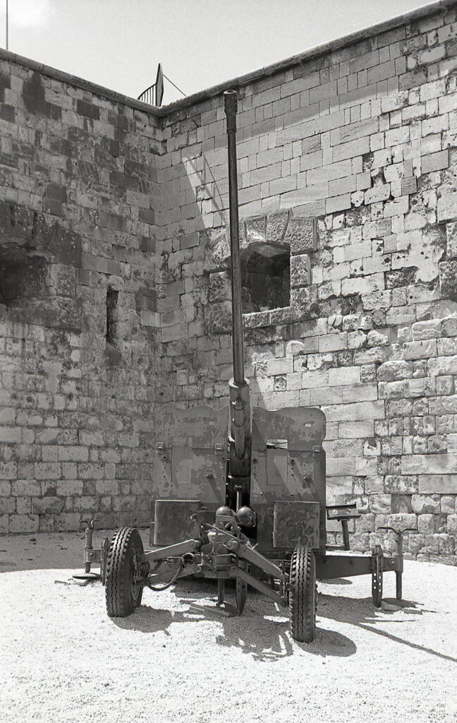 Yashica Electro 35GN black Agfa APX 100-9463