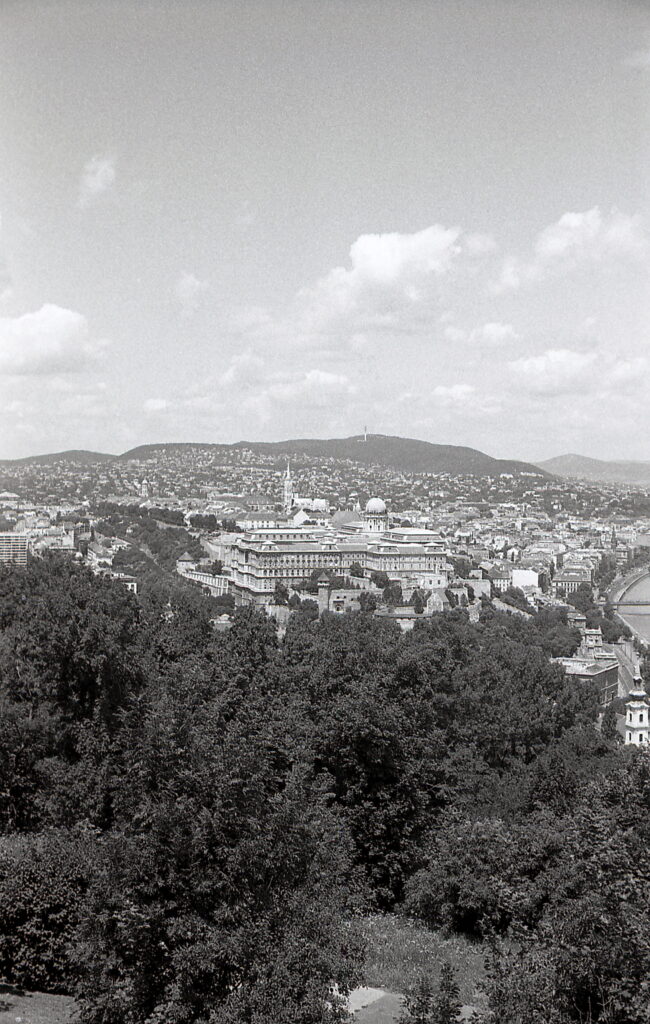 Yashica Electro 35GN black Agfa APX 100-9464