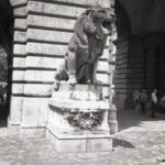 Yashica T4 Agfa APX 100-9041