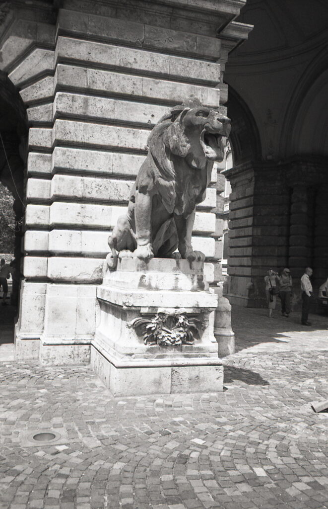 Yashica T4 Agfa APX 100-9041