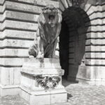 Yashica T4 Agfa APX 100-9042