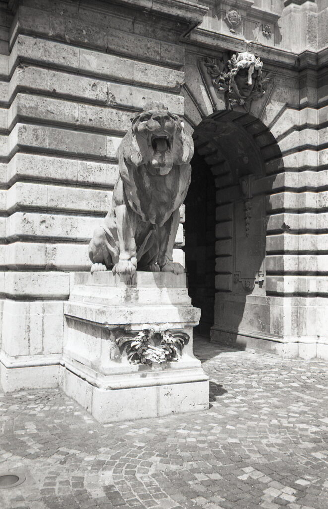 Yashica T4 Agfa APX 100-9042