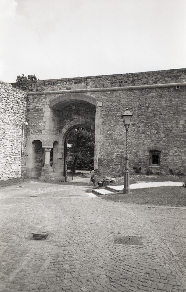 Yashica T4 Agfa APX 100-9046