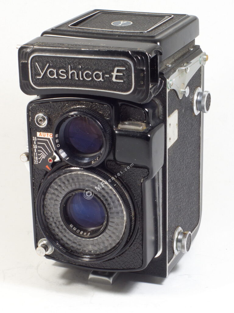 Yashica E Fomapan 100-13177