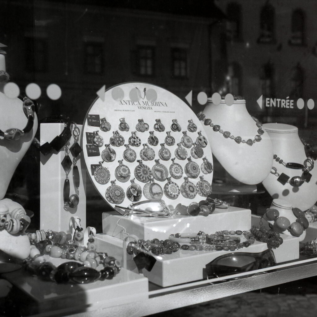 Yashica E Fomapan 100-13169