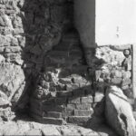 Yashica E Fomapan 100-13171