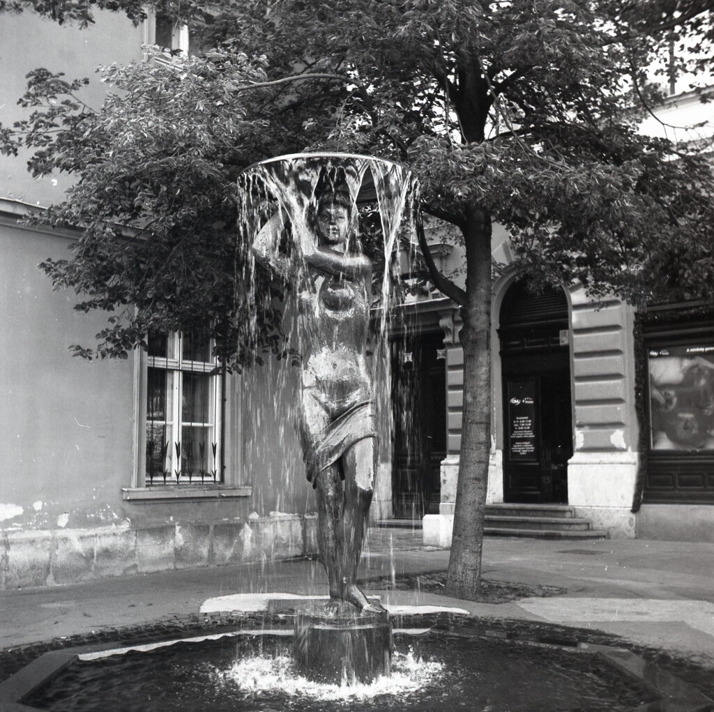 Yashica E Fomapan 100-13172