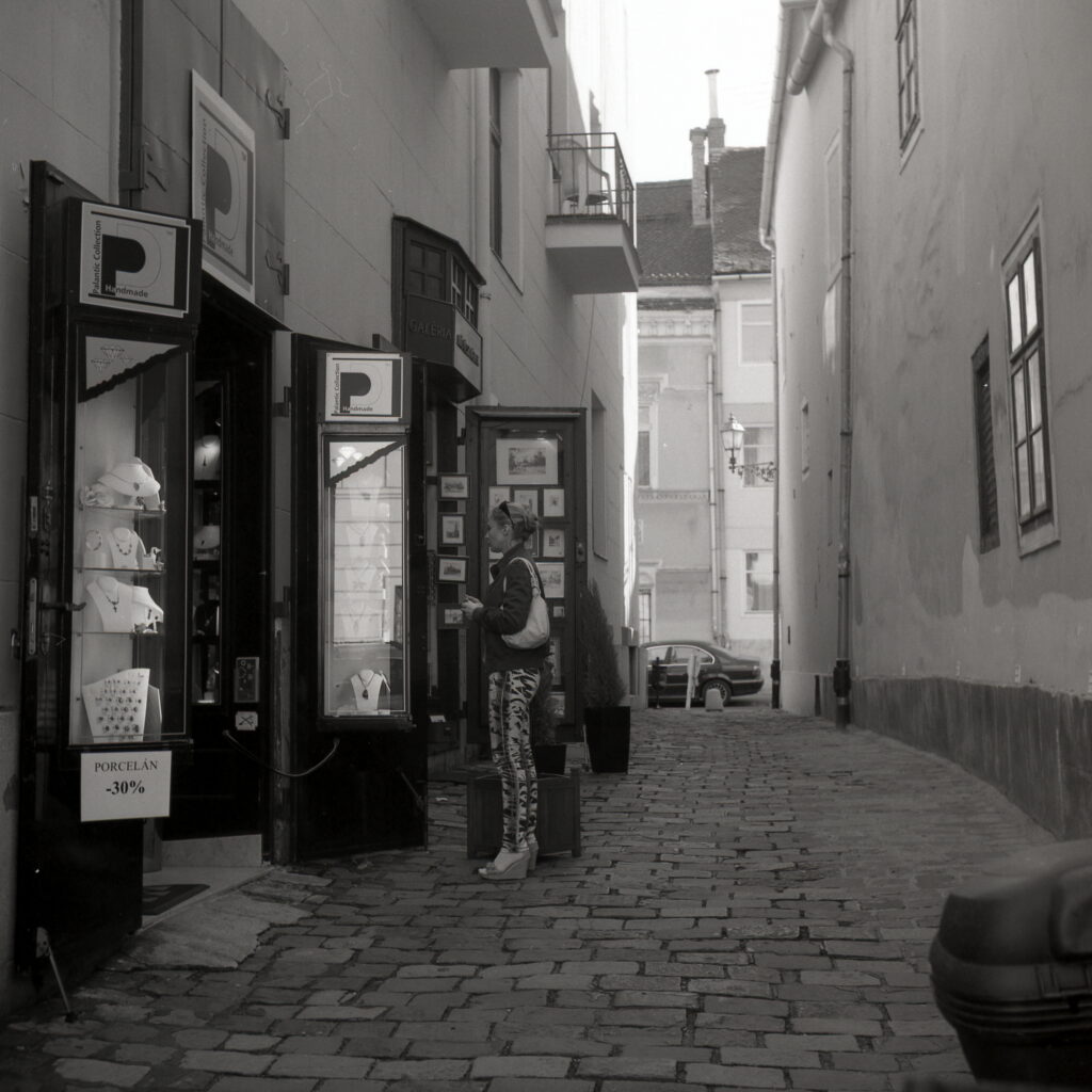 Yashica E Fomapan 100-13173