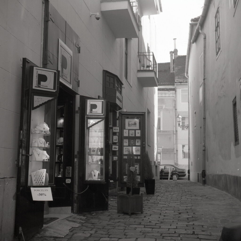 Yashica E Fomapan 100-13174