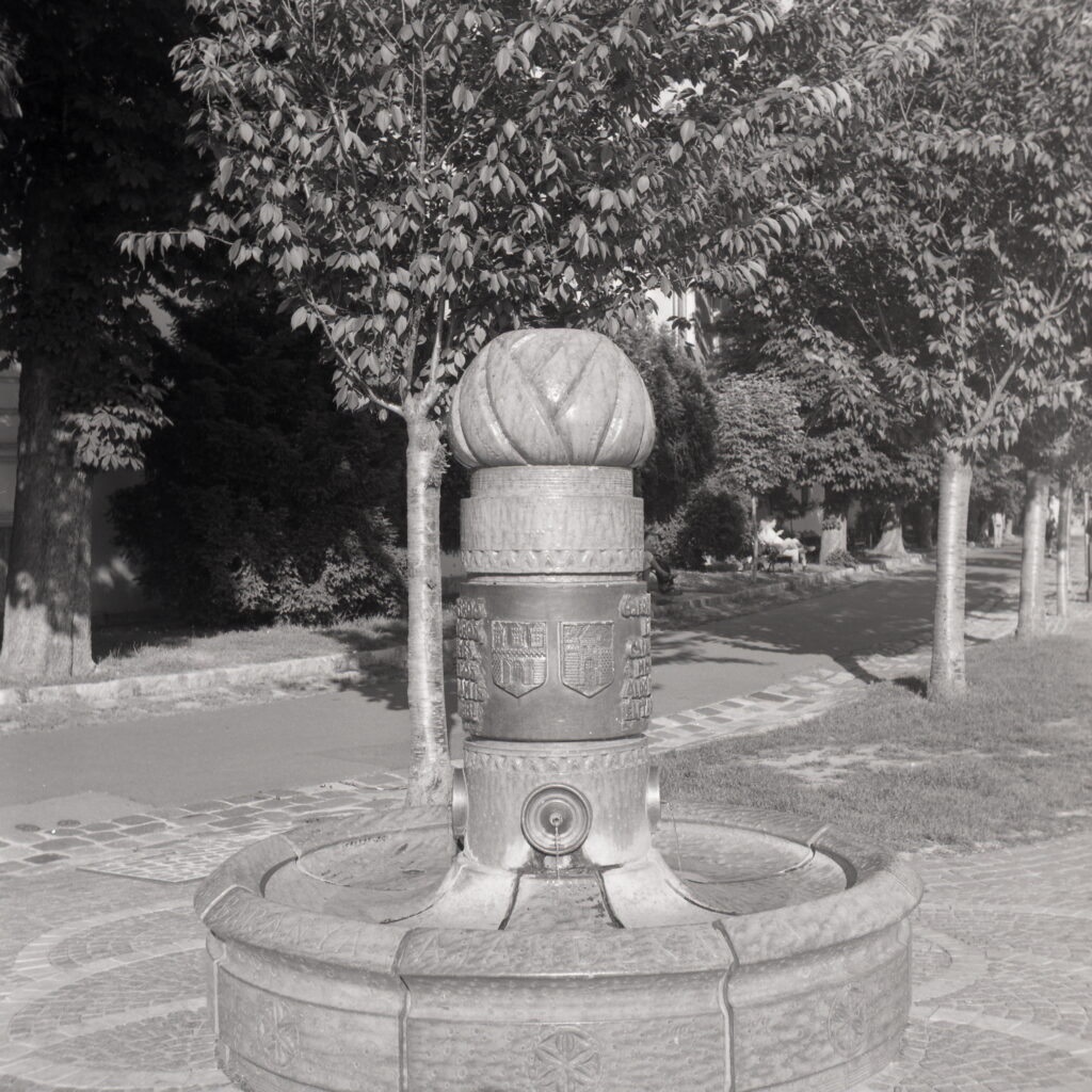 Yashica E Fomapan 100-13176