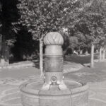 Yashica E Fomapan 100-13176