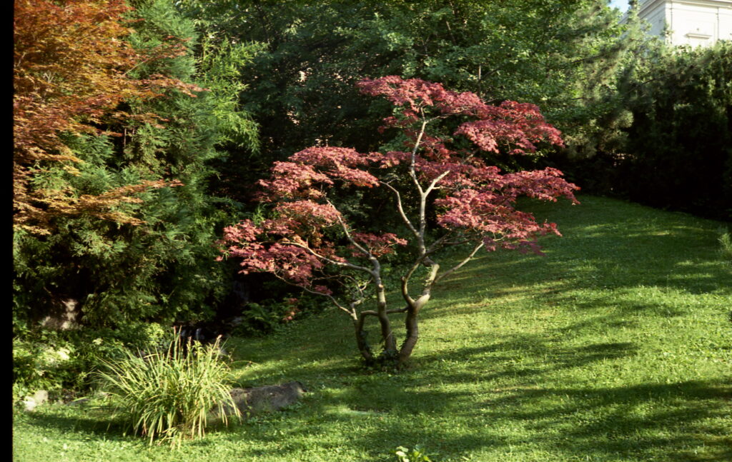 Yashica Electro 35 GS-5235