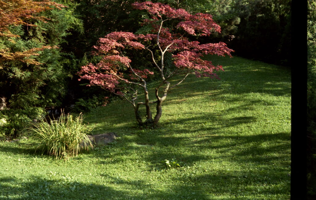 Yashica Electro 35 GS-5236