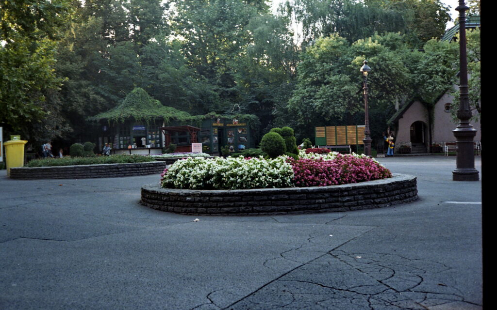 Yashica Electro 35 GTN black-5350