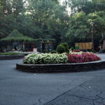 Yashica Electro 35 GTN black-5350