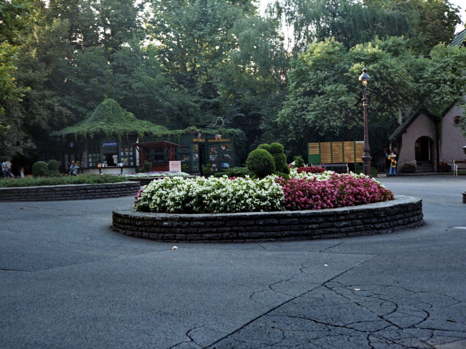 Yashica Electro 35 GTN black