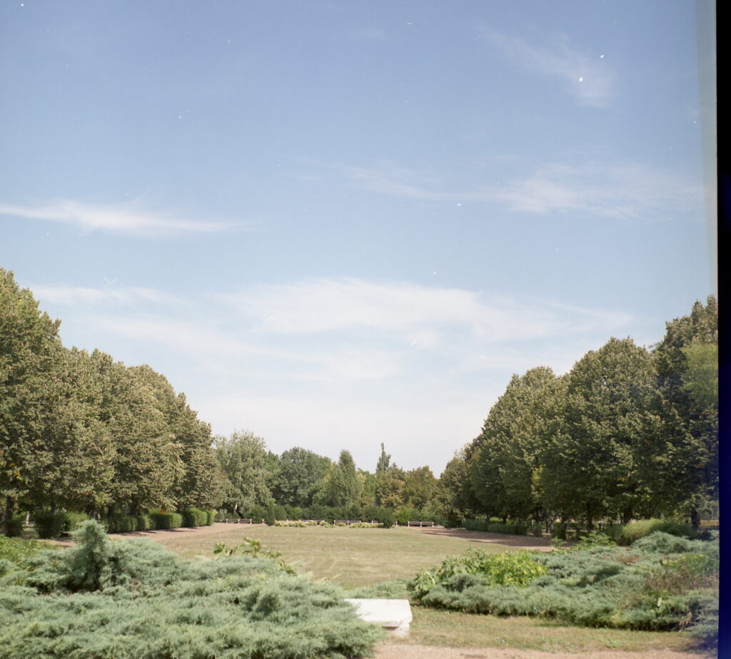 Yashica MAT124G-5391