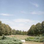 Yashica MAT124G-5391
