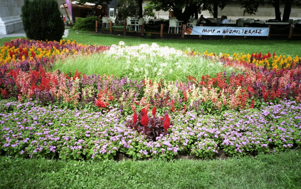 Yashica T3 CZ Tessar 35mm f2.8-6079