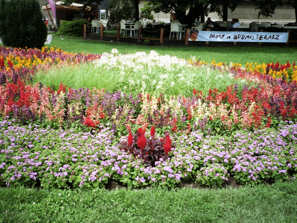 Yashica T3 CZ Tessar 35mm f2.8