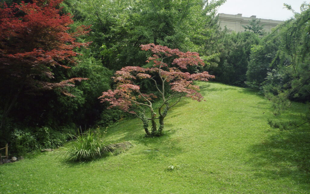 Yashica T3 CZ Tessar 35mm f2.8-6084