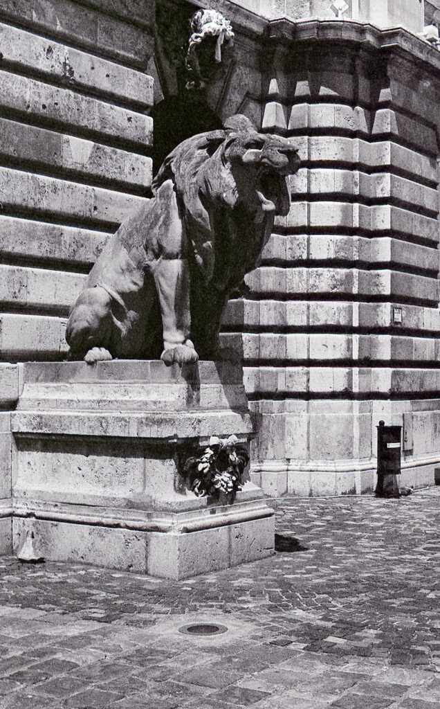Fed-4-Industar-61-Agfa Apx 100-9054