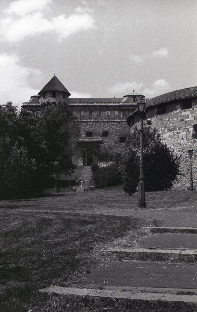 Fed-4-Industar-61-Agfa Apx 100-9060