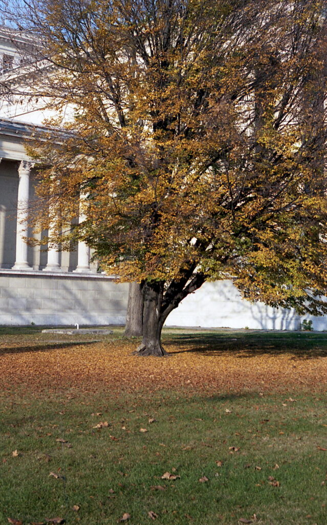 Fed-5b Industar-26 Fuji Color 200-10499