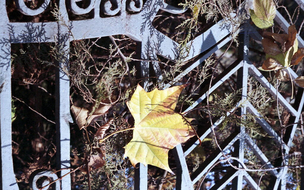 Fed-5b Industar-26 Fuji Color 200-10512