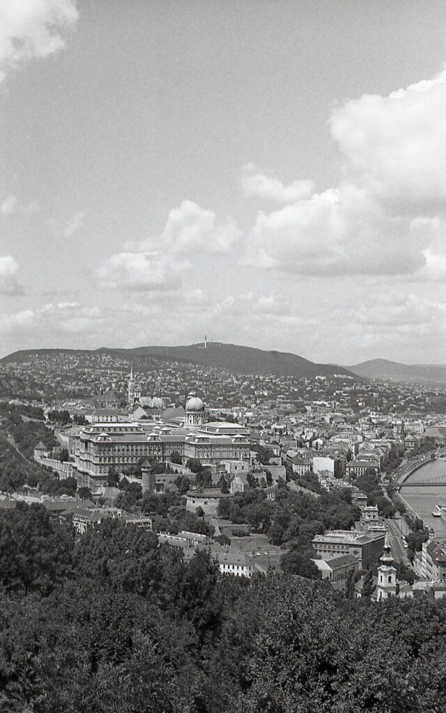 Fed-5b Industar-26 Agfa APX100-10325