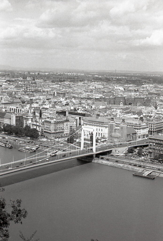 Fed-5b Industar-26 Agfa APX100-10327