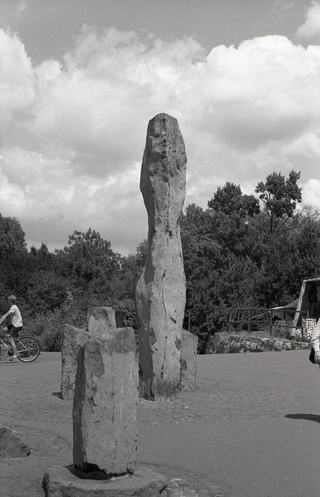Fed-5b Industar-26 Agfa APX100-10329