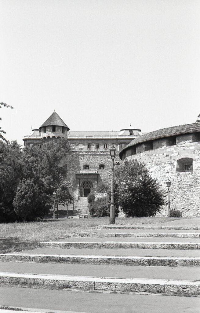 Fed-5b Industar-26 Agfa APX100-10330