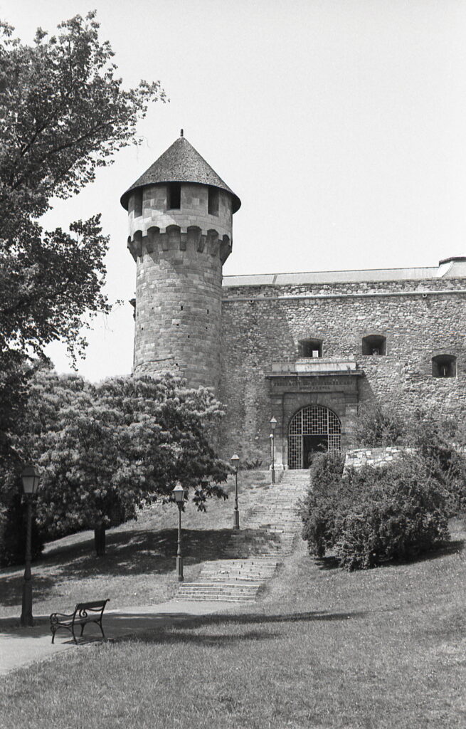 Fed-5b Industar-26 Agfa APX100-10331