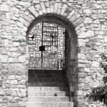 Fed-5b Industar-26 Agfa APX100-10333