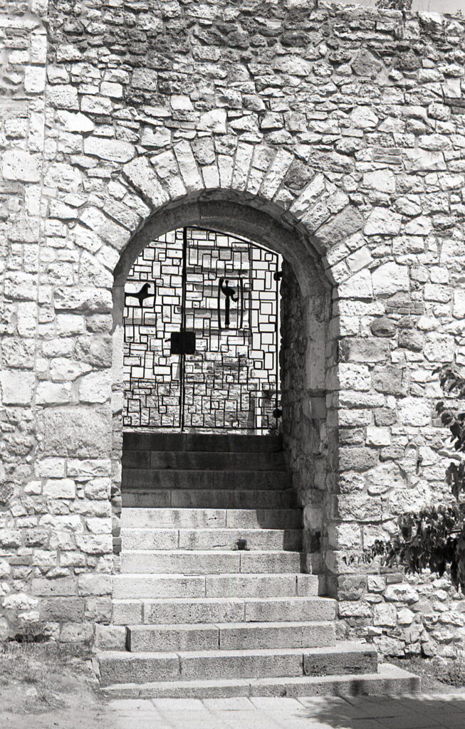 Fed-5b Industar-26 Agfa APX100-10333
