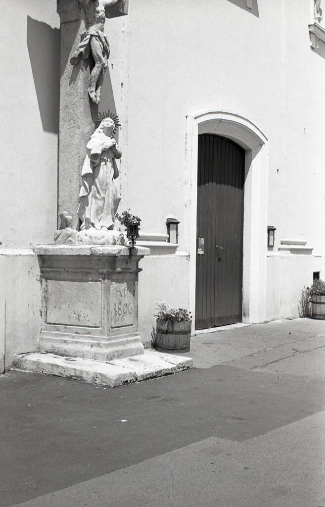 Fed-5b Industar-26 Agfa APX100-10334