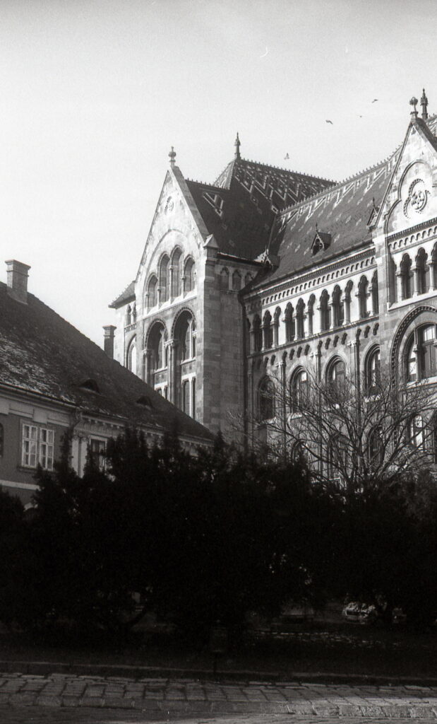 Industar-22 5cm f2.8 collapsible FED-2 Fomapan 100-8315