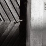 Industar-22 5cm f2.8 collapsible FED-2 Fomapan 100-8317