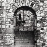 Fed-2 Industar-26 5cm f2 FED-2 Fomapan100-8299