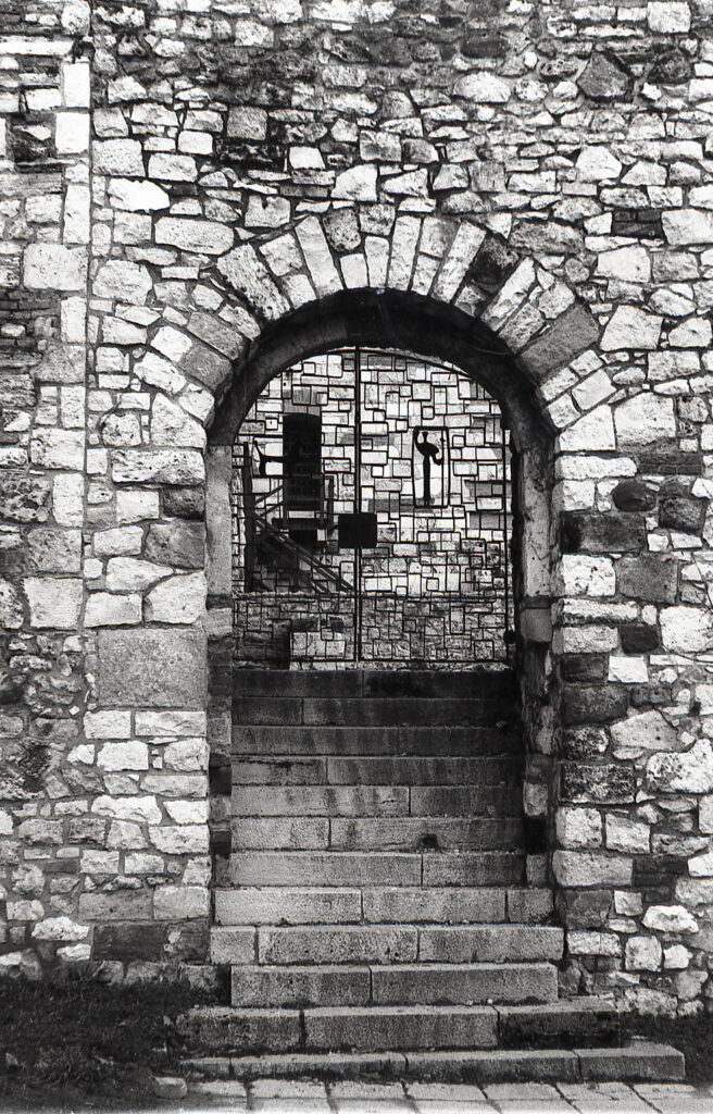 Fed-2 Industar-26 5cm f2 FED-2 Fomapan100-8299