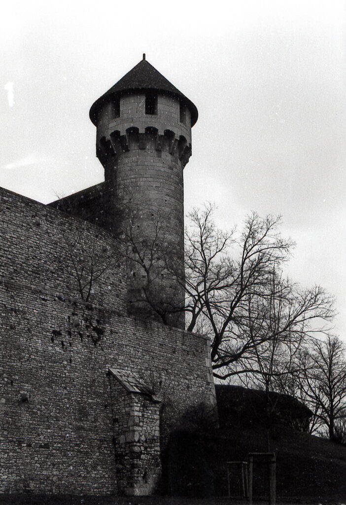 Fed-2 Industar-26 5cm f2 FED-2 Fomapan100-8300