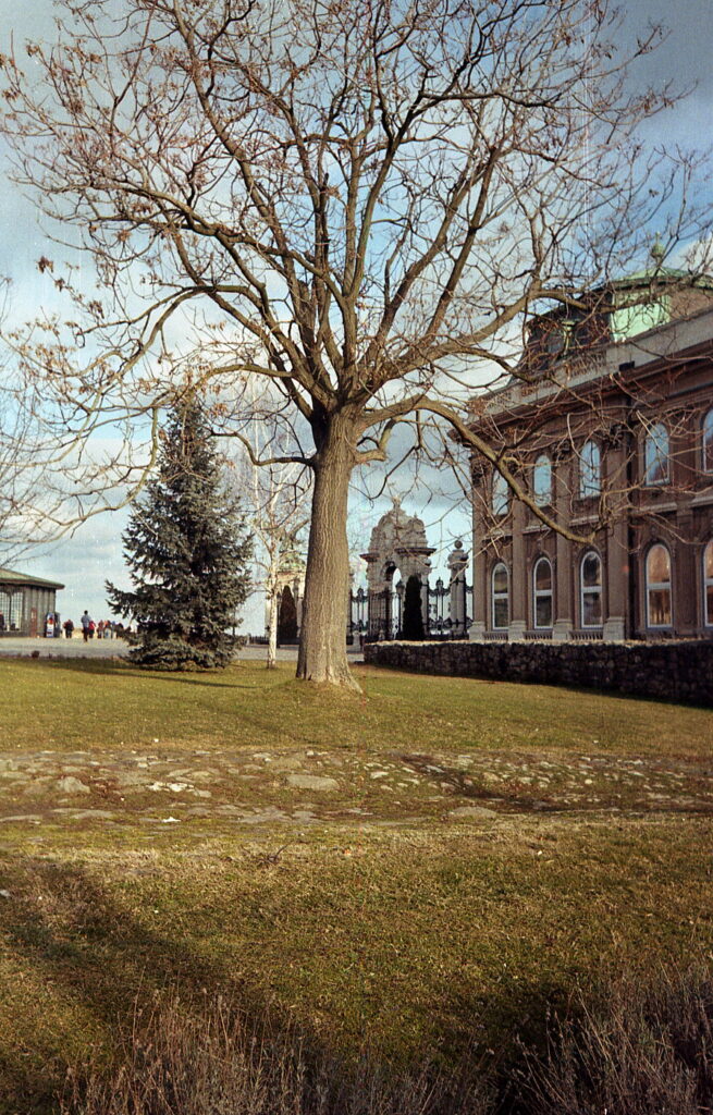 Kiev 4 Jupiter-12 3,5cm f2.8 RED P Paradise 200-8333