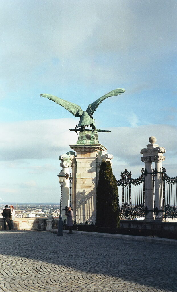 Kiev-4 Jupiter-8 50mm f2.8 Paradise 200-8355