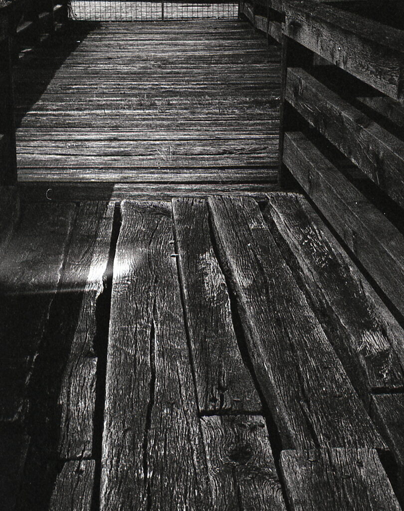 Kiev-4 Jupiter-8M Agfa APX100-9286