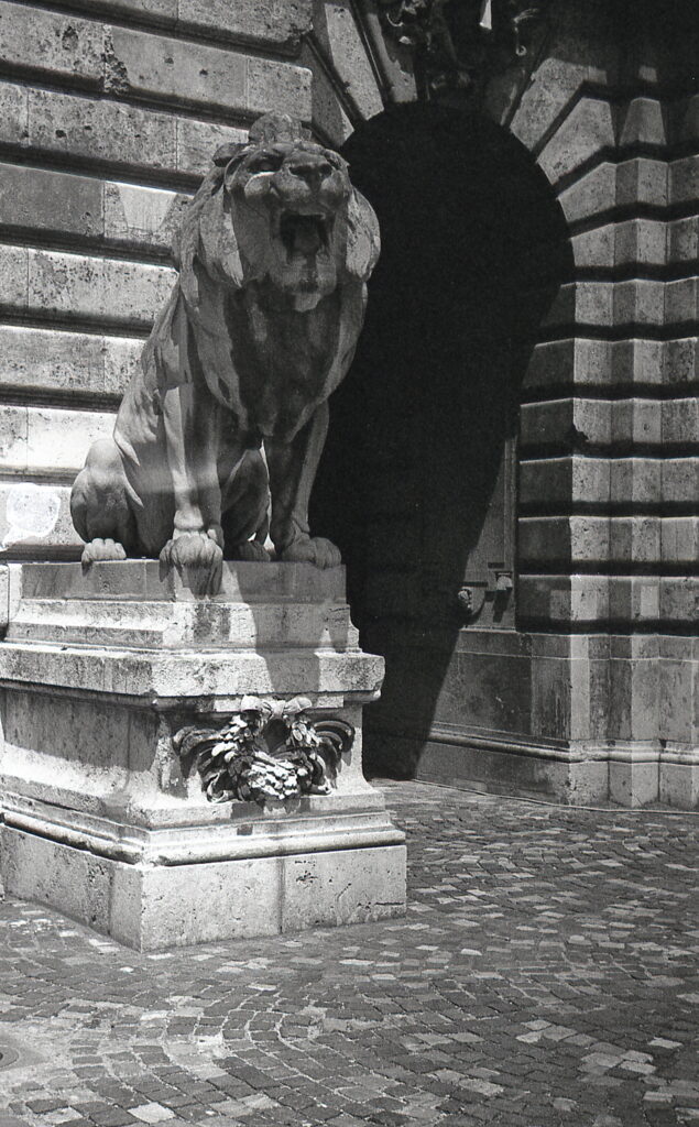 Kiev-4 Jupiter-8M Agfa APX100-9287