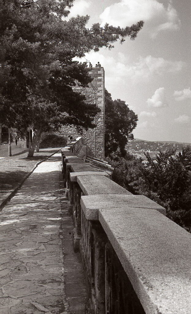 Kiev-4 Jupiter-8M Agfa APX100-9293
