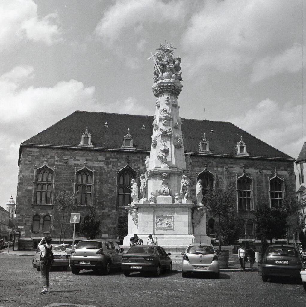 Salyut Industar-39 Mir-3 Fomapan 100-9692