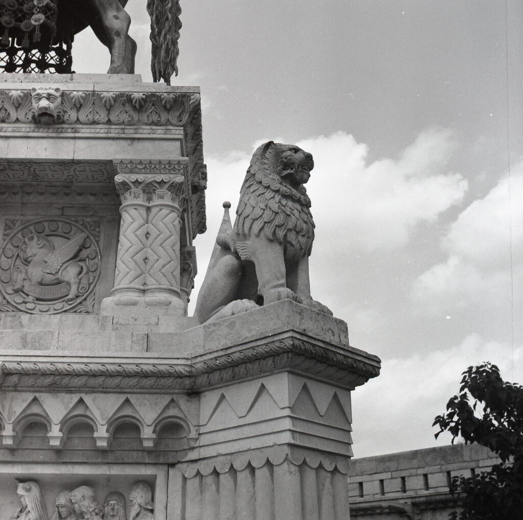 Salyut Industar-39 Mir-3 Fomapan 100-9694